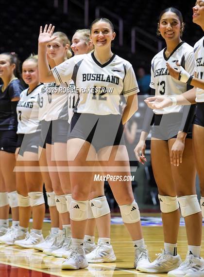 Thumbnail 2 in Bushland vs. Goliad (UIL 3A D1 Volleyball Final) photogallery.