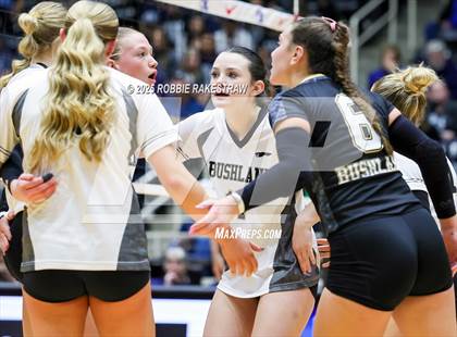 Thumbnail 2 in Bushland vs. Goliad (UIL 3A D1 Volleyball Final) photogallery.