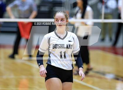 Thumbnail 3 in Bushland vs. Goliad (UIL 3A D1 Volleyball Final) photogallery.