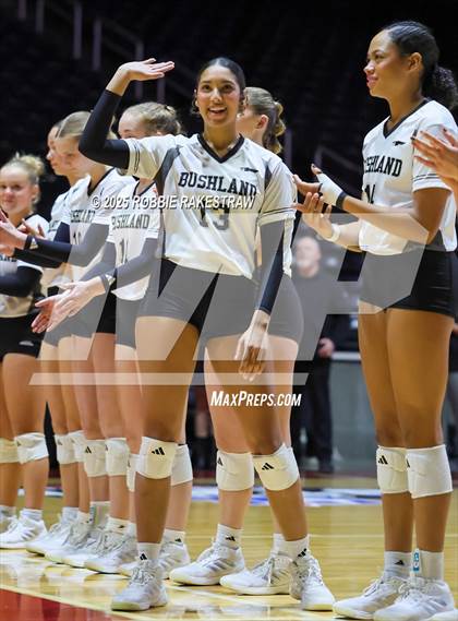 Thumbnail 3 in Bushland vs. Goliad (UIL 3A D1 Volleyball Final) photogallery.