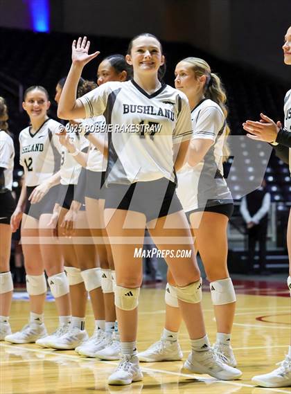 Thumbnail 3 in Bushland vs. Goliad (UIL 3A D1 Volleyball Final) photogallery.