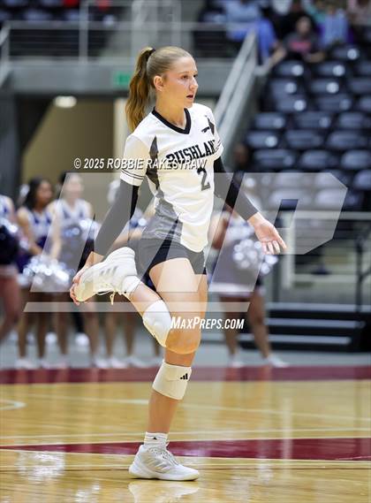 Thumbnail 1 in Bushland vs. Goliad (UIL 3A D1 Volleyball Final) photogallery.