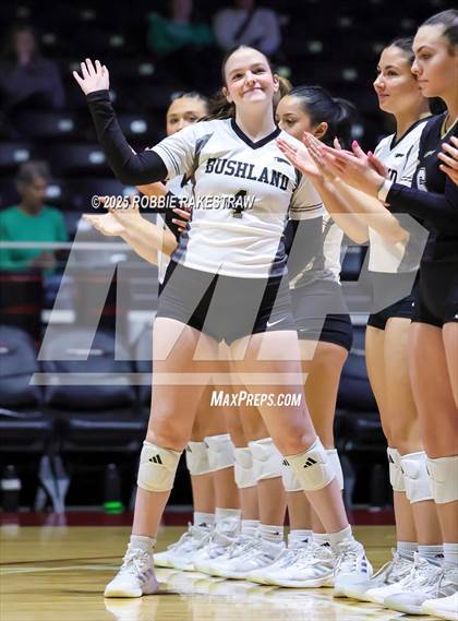 Thumbnail 1 in Bushland vs. Goliad (UIL 3A D1 Volleyball Final) photogallery.
