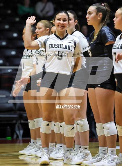 Thumbnail 2 in Bushland vs. Goliad (UIL 3A D1 Volleyball Final) photogallery.