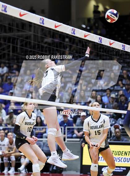 Thumbnail 1 in Bushland vs. Goliad (UIL 3A D1 Volleyball Final) photogallery.