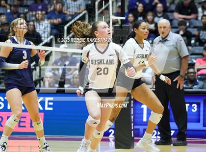 Thumbnail 2 in Bushland vs. Goliad (UIL 3A D1 Volleyball Final) photogallery.