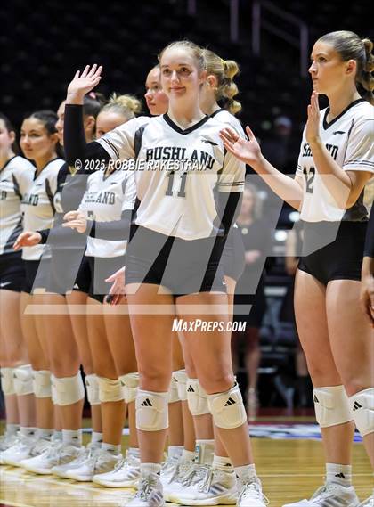 Thumbnail 1 in Bushland vs. Goliad (UIL 3A D1 Volleyball Final) photogallery.