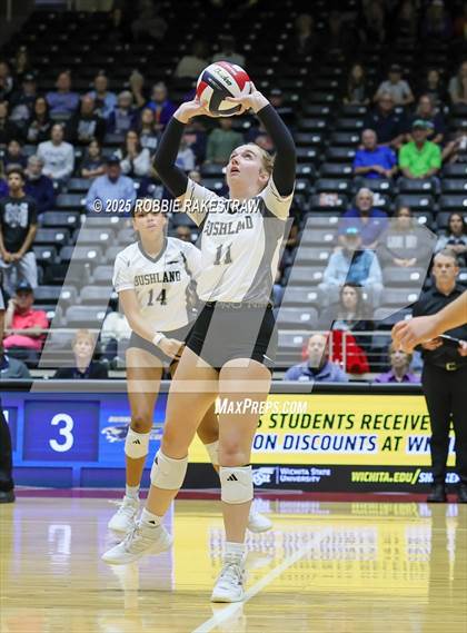 Thumbnail 1 in Bushland vs. Goliad (UIL 3A D1 Volleyball Final) photogallery.