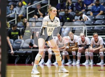 Thumbnail 3 in Bushland vs. Goliad (UIL 3A D1 Volleyball Final) photogallery.