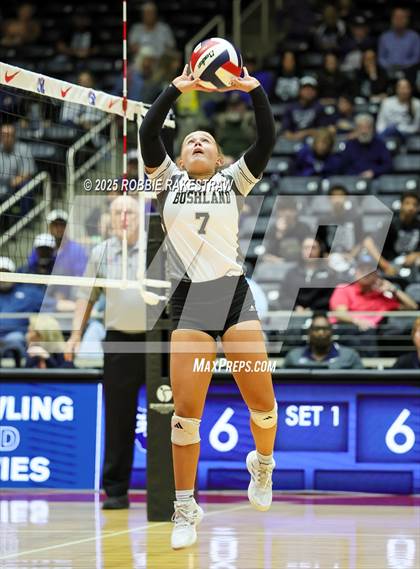 Thumbnail 2 in Bushland vs. Goliad (UIL 3A D1 Volleyball Final) photogallery.