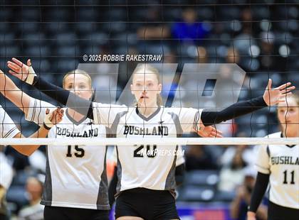 Thumbnail 2 in Bushland vs. Goliad (UIL 3A D1 Volleyball Final) photogallery.
