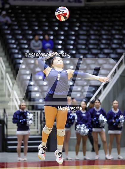 Thumbnail 3 in Bushland vs. Goliad (UIL 3A D1 Volleyball Final) photogallery.