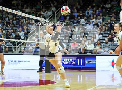 Thumbnail 1 in Bushland vs. Goliad (UIL 3A D1 Volleyball Final) photogallery.