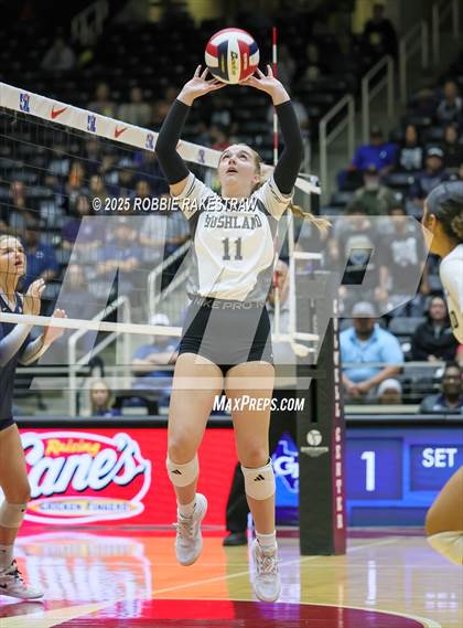 Thumbnail 3 in Bushland vs. Goliad (UIL 3A D1 Volleyball Final) photogallery.