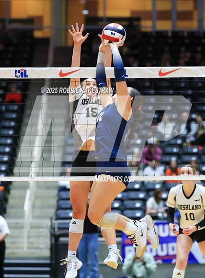 Thumbnail 3 in Bushland vs. Goliad (UIL 3A D1 Volleyball Final) photogallery.