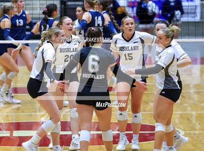 Thumbnail 2 in Bushland vs. Goliad (UIL 3A D1 Volleyball Final) photogallery.