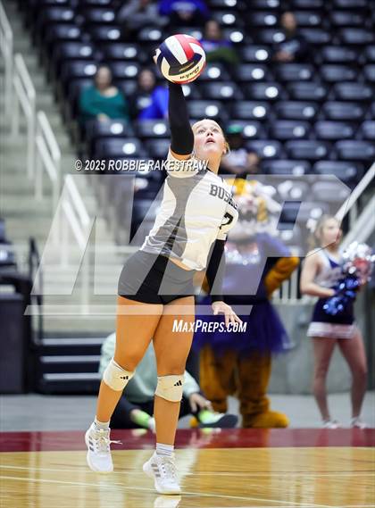 Thumbnail 2 in Bushland vs. Goliad (UIL 3A D1 Volleyball Final) photogallery.