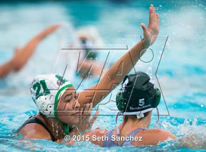 Thumbnail 1 in Schurr @ Chaparral photogallery.