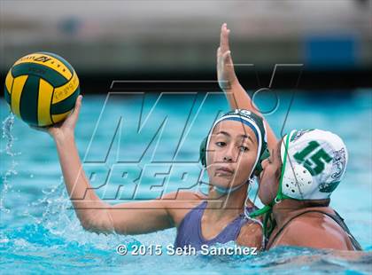 Thumbnail 2 in Schurr @ Chaparral photogallery.
