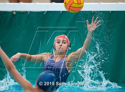 Thumbnail 1 in Schurr @ Chaparral photogallery.