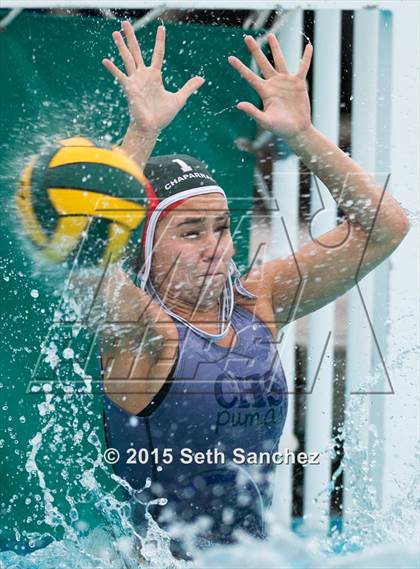 Thumbnail 1 in Schurr @ Chaparral photogallery.