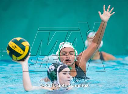 Thumbnail 1 in Schurr @ Chaparral photogallery.