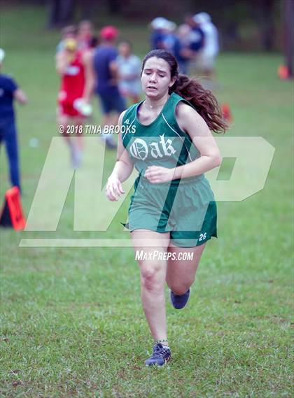 Thumbnail 1 in JV: NCSHAA 3A Coastal Conference Cross Country Championship photogallery.