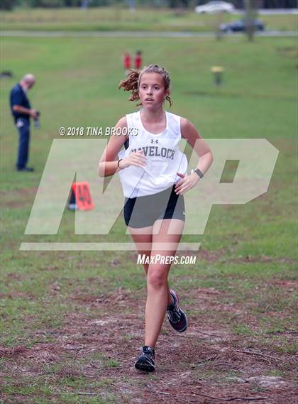 Thumbnail 1 in NCSHAA 3A Coastal Conference Cross Country Championship photogallery.