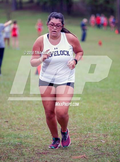 Thumbnail 3 in NCSHAA 3A Coastal Conference Cross Country Championship photogallery.