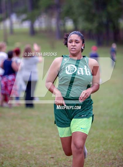 Thumbnail 2 in JV: NCSHAA 3A Coastal Conference Cross Country Championship photogallery.