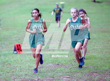 Thumbnail 1 in NCSHAA 3A Coastal Conference Cross Country Championship photogallery.
