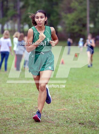 Thumbnail 1 in NCSHAA 3A Coastal Conference Cross Country Championship photogallery.