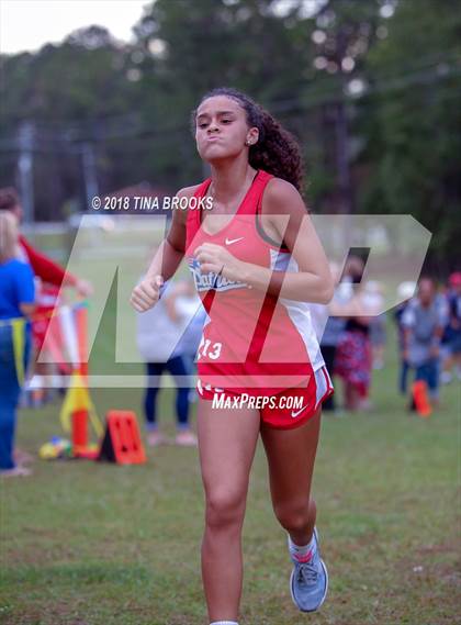 Thumbnail 3 in NCSHAA 3A Coastal Conference Cross Country Championship photogallery.