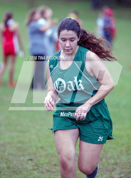 Thumbnail 3 in NCSHAA 3A Coastal Conference Cross Country Championship photogallery.