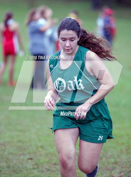 Thumbnail 3 in JV: NCSHAA 3A Coastal Conference Cross Country Championship photogallery.