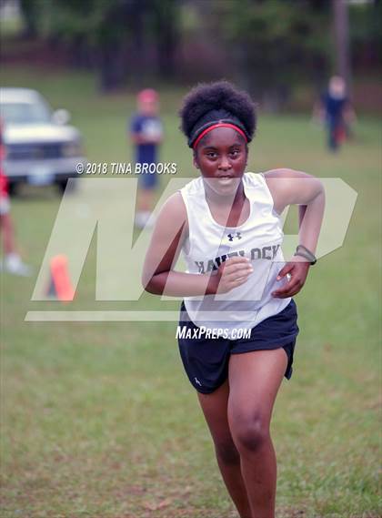 Thumbnail 1 in NCSHAA 3A Coastal Conference Cross Country Championship photogallery.