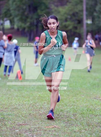 Thumbnail 3 in NCSHAA 3A Coastal Conference Cross Country Championship photogallery.