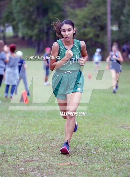 Thumbnail 3 in JV: NCSHAA 3A Coastal Conference Cross Country Championship photogallery.