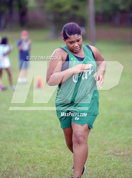 Thumbnail 1 in NCSHAA 3A Coastal Conference Cross Country Championship photogallery.