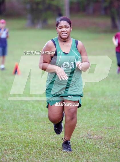 Thumbnail 3 in NCSHAA 3A Coastal Conference Cross Country Championship photogallery.