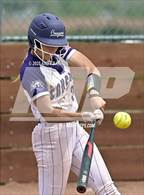 Photo from the gallery "Reed @ Spanish Springs"