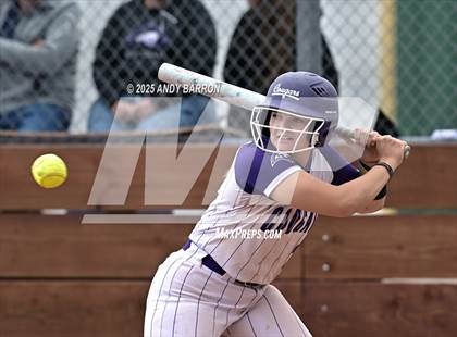 Thumbnail 2 in Reed @ Spanish Springs photogallery.