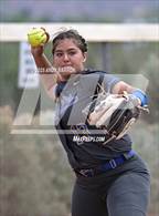 Photo from the gallery "Reed @ Spanish Springs"