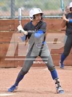 Photo from the gallery "Reed @ Spanish Springs"