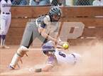 Photo from the gallery "Reed @ Spanish Springs"