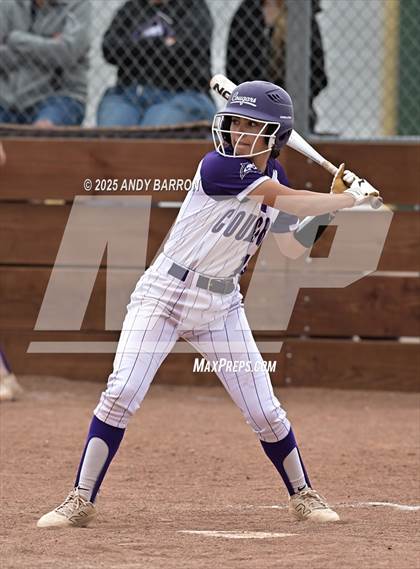 Thumbnail 3 in Reed @ Spanish Springs photogallery.