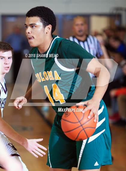 Thumbnail 3 in Watervliet vs. Coloma photogallery.
