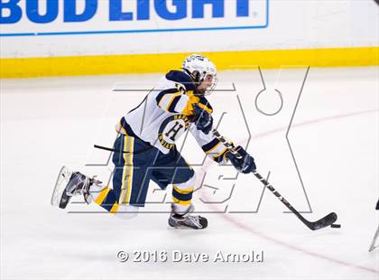 Thumbnail 1 in Algonquin Regional vs Hanover (MIAA Division 3 Final) photogallery.