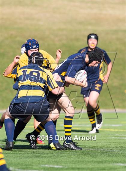 Thumbnail 3 in Xaverian Brothers @ Needham photogallery.