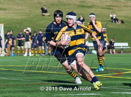 Thumbnail 3 in Xaverian Brothers @ Needham photogallery.